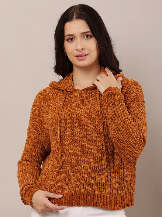 Women Brown Hooded Knitted Sweatshirt