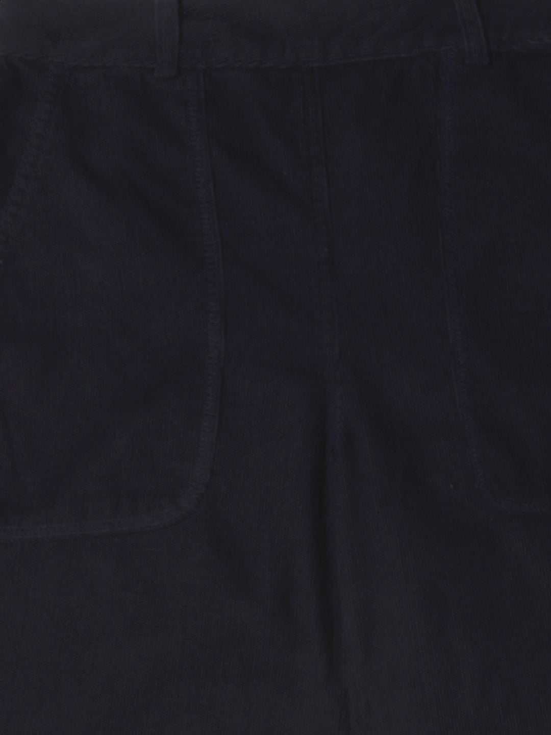 Women Navy Regular Fit Pant